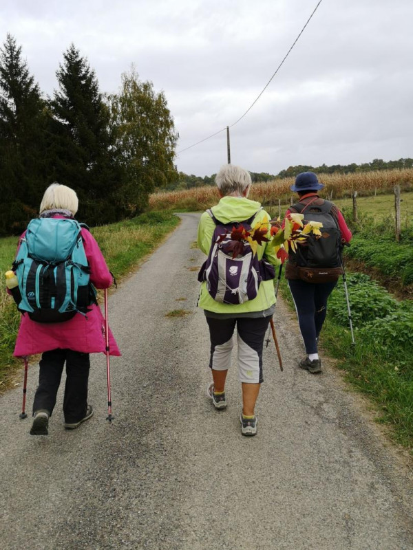 Illustration de l'actualité