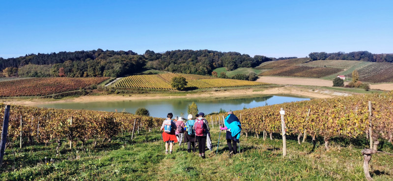 Illustration de l'actualité