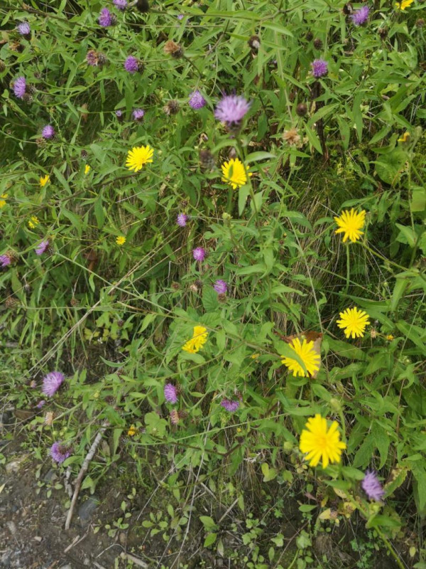 Illustration de l'actualité