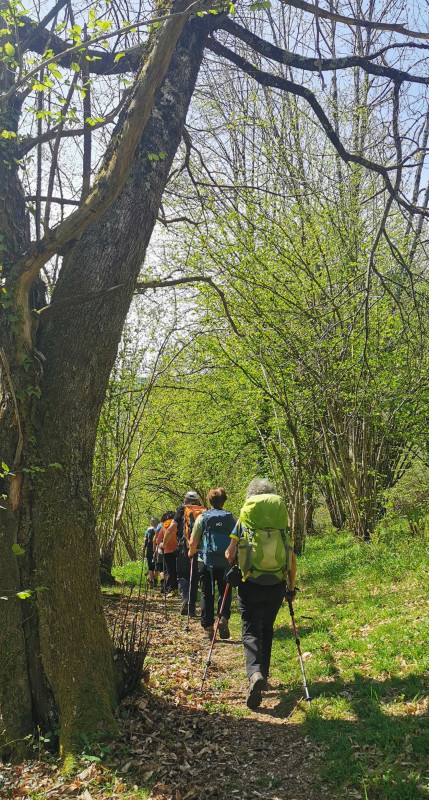 Illustration de l'actualité