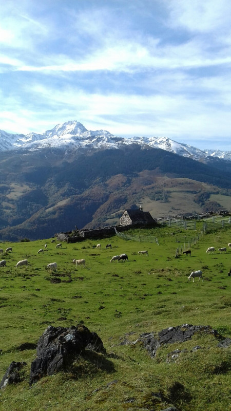 Illustration de l'actualité