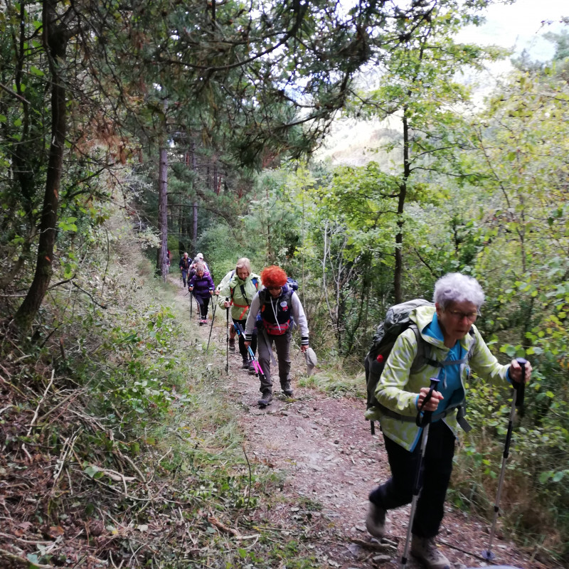 Illustration de l'actualité