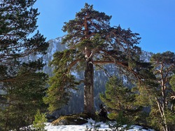 Illustration de la galerie